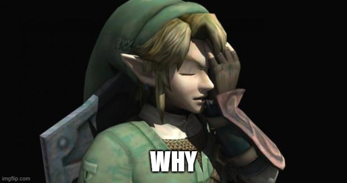 Link Facepalm | WHY | image tagged in link facepalm | made w/ Imgflip meme maker