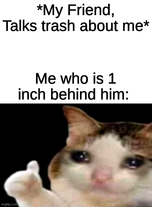 Sad cat thumbs up white spacing | *My Friend, Talks trash about me*; Me who is 1 inch behind him: | image tagged in sad cat thumbs up white spacing | made w/ Imgflip meme maker