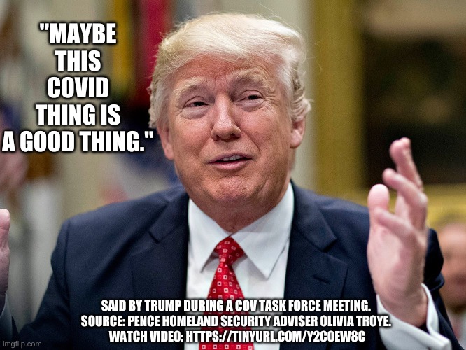 Maybe this Covid thing is a good thing. | "MAYBE THIS COVID THING IS A GOOD THING."; SAID BY TRUMP DURING A COV TASK FORCE MEETING. 
SOURCE: PENCE HOMELAND SECURITY ADVISER OLIVIA TROYE. 
WATCH VIDEO: HTTPS://TINYURL.COM/Y2COEW8C | image tagged in donald trump,covid | made w/ Imgflip meme maker