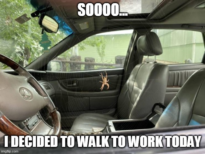 NOPE | SOOOO... I DECIDED TO WALK TO WORK TODAY | image tagged in nope,spider | made w/ Imgflip meme maker