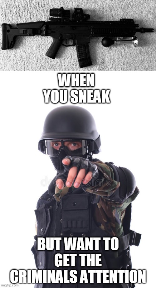 HONK HONK | WHEN YOU SNEAK; BUT WANT TO GET THE CRIMINALS ATTENTION | image tagged in guns,firearms,swat | made w/ Imgflip meme maker