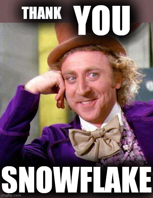 Willy Wonka Blank | THANK SNOWFLAKE YOU | image tagged in willy wonka blank | made w/ Imgflip meme maker