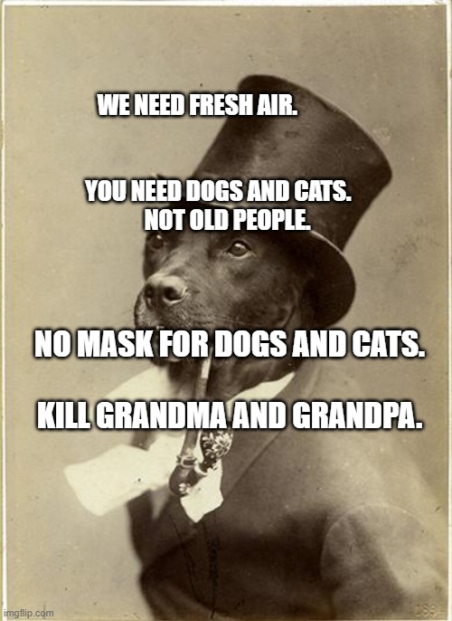 Old Money Dog | WE NEED FRESH AIR.                                                                 YOU NEED DOGS AND CATS.              NOT OLD PEOPLE. NO MASK FOR DOGS AND CATS.                                 KILL GRANDMA AND GRANDPA. | image tagged in old money dog | made w/ Imgflip meme maker