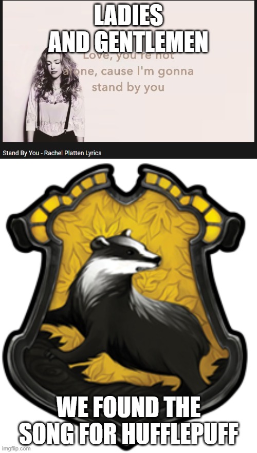 I'm in Hufflepuff | LADIES AND GENTLEMEN; WE FOUND THE SONG FOR HUFFLEPUFF | image tagged in hufflepuff | made w/ Imgflip meme maker