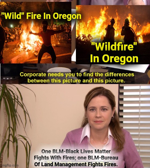 Oregon-fighting with fire or fighting fire | "Wild" Fire In Oregon; "Wildfire" In Oregon; One BLM-Black Lives Matter Fights With Fires; one BLM-Bureau Of Land Management Fights Fires. | image tagged in memes,they're the same picture,portland,riots,oregon fires,blm | made w/ Imgflip meme maker