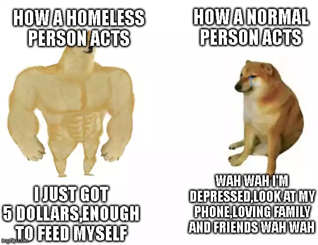 Buff Doge vs. Cheems Meme | HOW A NORMAL PERSON ACTS; HOW A HOMELESS PERSON ACTS; WAH WAH I'M DEPRESSED,LOOK AT MY PHONE,LOVING FAMILY AND FRIENDS WAH WAH; I JUST GOT 5 DOLLARS,ENOUGH TO FEED MYSELF | image tagged in buff doge vs cheems | made w/ Imgflip meme maker