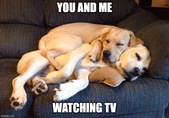 tv cuddle | YOU AND ME; WATCHING TV | image tagged in couch cuddle | made w/ Imgflip meme maker