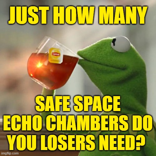 But That's None Of My Business Meme | JUST HOW MANY SAFE SPACE ECHO CHAMBERS DO YOU LOSERS NEED? | image tagged in memes,but that's none of my business,kermit the frog | made w/ Imgflip meme maker