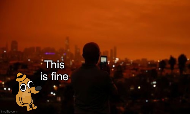 It’s beautiful, in a scary way. | This is fine | image tagged in this is fine,forest fire,memes | made w/ Imgflip meme maker