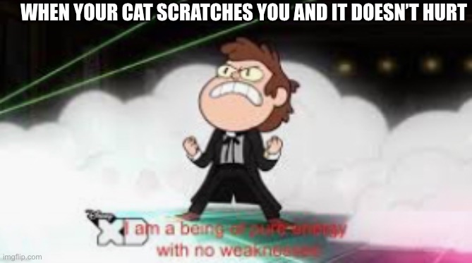 I mean... I’m not wrong | WHEN YOUR CAT SCRATCHES YOU AND IT DOESN’T HURT | image tagged in i am a pure being of energy with no weaknesses | made w/ Imgflip meme maker