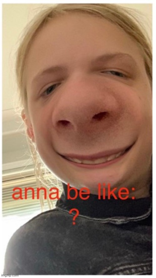 Anna be like | image tagged in anna be like | made w/ Imgflip meme maker