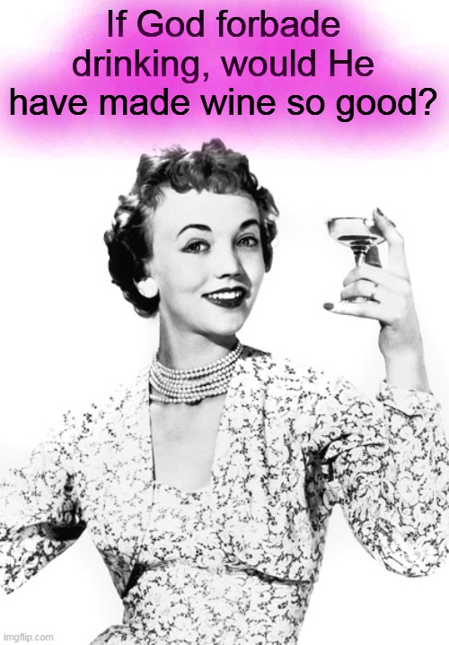 Woman Drinking Wine | If God forbade drinking, would He have made wine so good? | image tagged in woman drinking wine | made w/ Imgflip meme maker