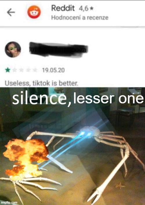 lesser one | image tagged in memes,silence crab | made w/ Imgflip meme maker