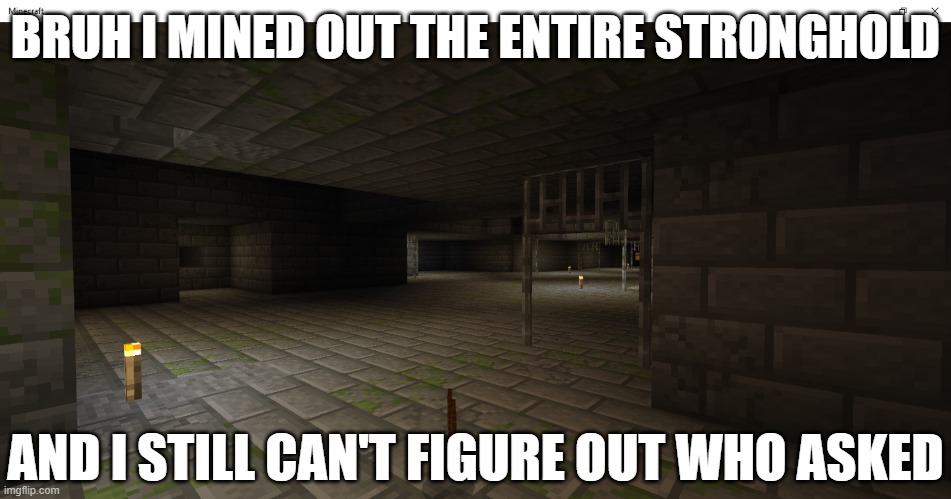 BRUH I MINED OUT THE ENTIRE STRONGHOLD; AND I STILL CAN'T FIGURE OUT WHO ASKED | image tagged in minecraft | made w/ Imgflip meme maker