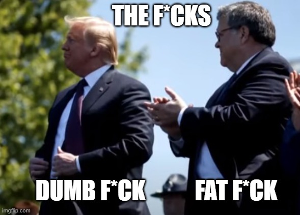 WTF? | THE F*CKS; DUMB F*CK           FAT F*CK | image tagged in wtf,losers,whiners,criminals,traitors,conmen | made w/ Imgflip meme maker