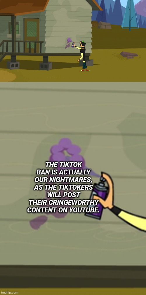 Duncan's message to society | THE TIKTOK BAN IS ACTUALLY OUR NIGHTMARES, AS THE TIKTOKERS WILL POST THEIR CRINGEWORTHY CONTENT ON YOUTUBE. | image tagged in duncan's message,tiktok,tik tok | made w/ Imgflip meme maker