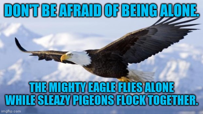 When People Abandon or Exclude You | DON'T BE AFRAID OF BEING ALONE. THE MIGHTY EAGLE FLIES ALONE WHILE SLEAZY PIGEONS FLOCK TOGETHER. | image tagged in eagle,lonely,forever alone,pigeons,true friends | made w/ Imgflip meme maker