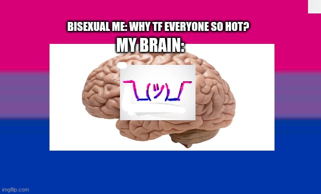 BISEXUAL ME: WHY TF EVERYONE SO HOT? MY BRAIN: | image tagged in bisexual | made w/ Imgflip meme maker