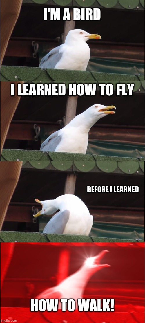 Inhaling Seagull | I'M A BIRD; I LEARNED HOW TO FLY; BEFORE I LEARNED; HOW TO WALK! | image tagged in memes,inhaling seagull,fly | made w/ Imgflip meme maker