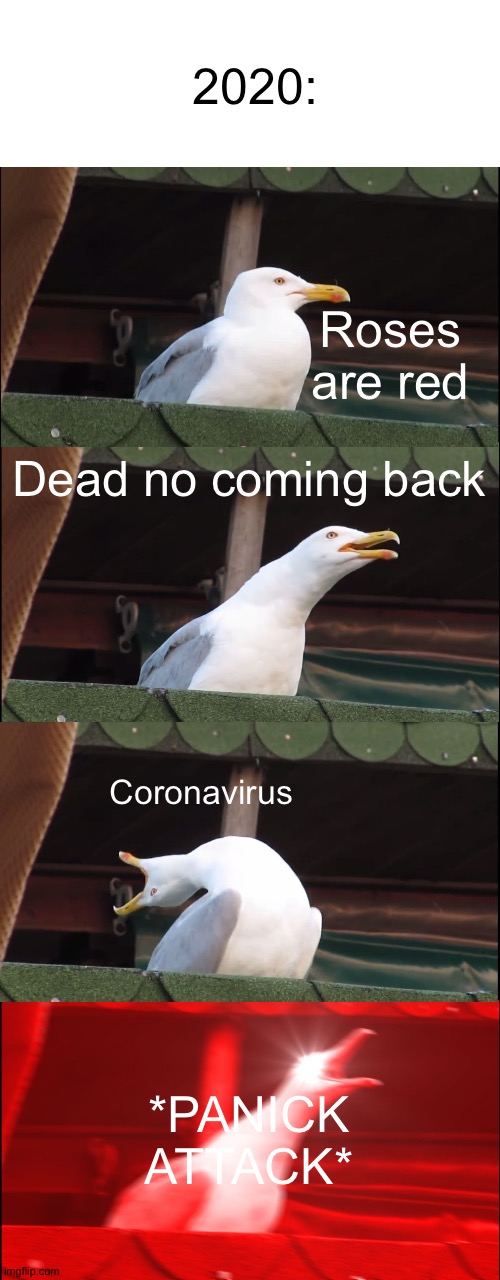 Inhaling Seagull Meme | 2020:; Roses are red; Dead no coming back; Coronavirus; *PANICK ATTACK* | image tagged in memes,inhaling seagull | made w/ Imgflip meme maker