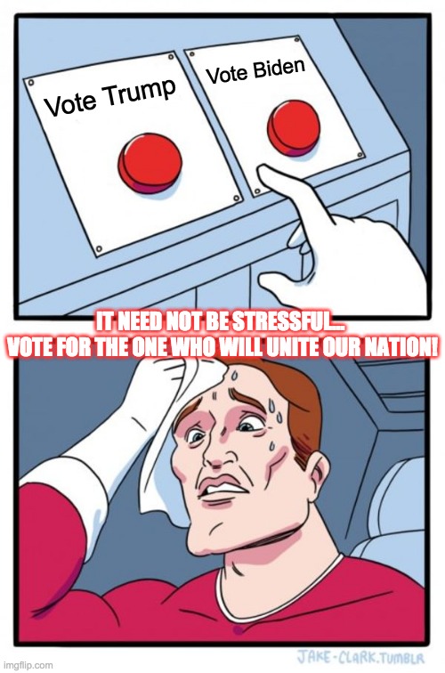 Trump Biden Vote | Vote Biden; Vote Trump; IT NEED NOT BE STRESSFUL... 
VOTE FOR THE ONE WHO WILL UNITE OUR NATION! | image tagged in memes,two buttons | made w/ Imgflip meme maker