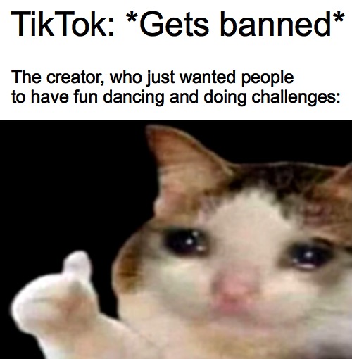 Sad cat thumbs up | TikTok: *Gets banned*; The creator, who just wanted people to have fun dancing and doing challenges: | image tagged in sad cat thumbs up | made w/ Imgflip meme maker