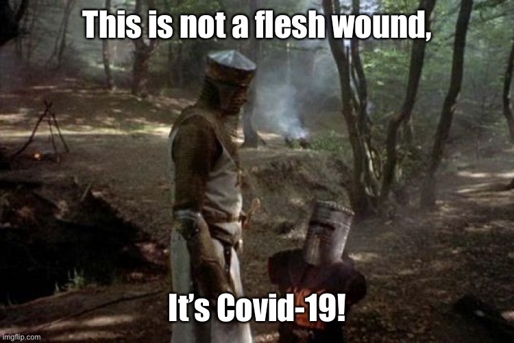 One of 200,000 such causations | image tagged in monty python and the holy grail,black knight,flesh wound,covid19 | made w/ Imgflip meme maker