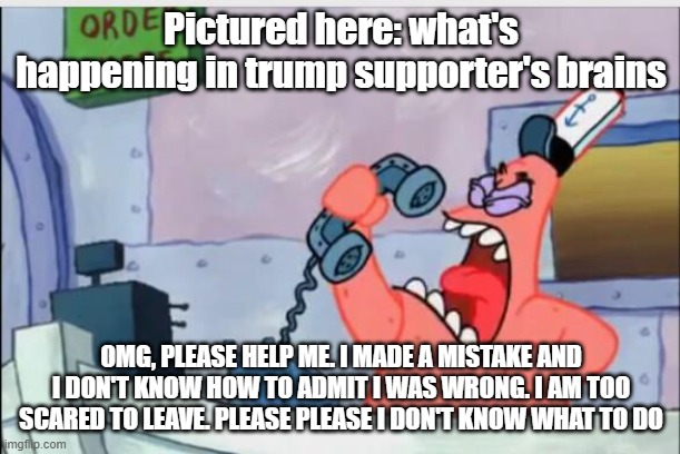 NO THIS IS PATRICK | Pictured here: what's happening in trump supporter's brains OMG, PLEASE HELP ME. I MADE A MISTAKE AND I DON'T KNOW HOW TO ADMIT I WAS WRONG. | image tagged in no this is patrick | made w/ Imgflip meme maker