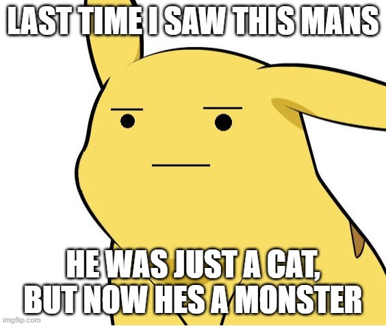 Pikachu Is Not Amused | LAST TIME I SAW THIS MANS HE WAS JUST A CAT, BUT NOW HES A MONSTER | image tagged in pikachu is not amused | made w/ Imgflip meme maker