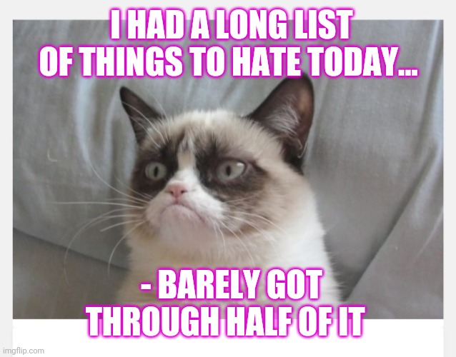 I HAD A LONG LIST OF THINGS TO HATE TODAY... - BARELY GOT THROUGH HALF OF IT | made w/ Imgflip meme maker