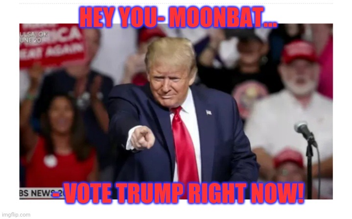 HEY YOU- MOONBAT... - VOTE TRUMP RIGHT NOW! | made w/ Imgflip meme maker