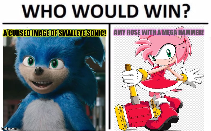 Sonic vs amy | A CURSED IMAGE OF SMALLEYE SONIC! AMY ROSE WITH A MEGA HAMMER! | image tagged in memes,who would win,sonic the hedgehog,amy,cursed | made w/ Imgflip meme maker