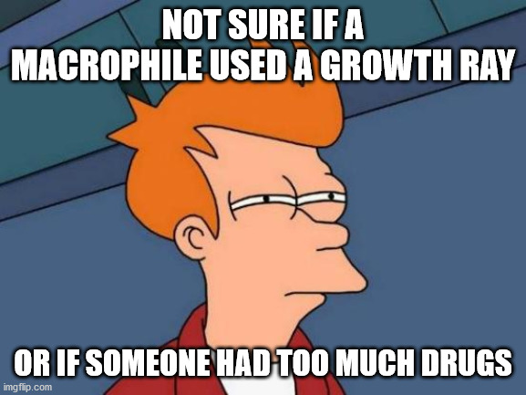 Futurama Fry Meme | NOT SURE IF A MACROPHILE USED A GROWTH RAY OR IF SOMEONE HAD TOO MUCH DRUGS | image tagged in memes,futurama fry | made w/ Imgflip meme maker
