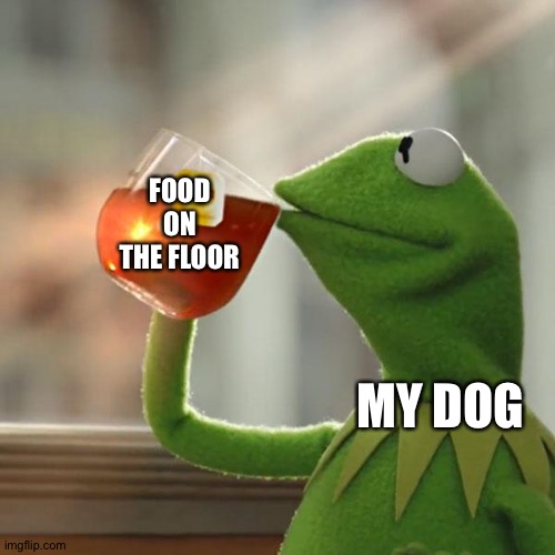 Food on ze floor | FOOD ON THE FLOOR; MY DOG | image tagged in memes,but that's none of my business,kermit the frog,dogs,food,muppets | made w/ Imgflip meme maker