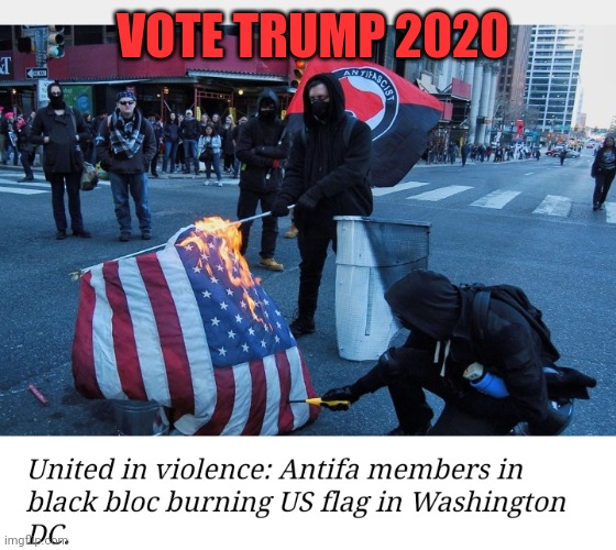 VOTE TRUMP 2020 | made w/ Imgflip meme maker