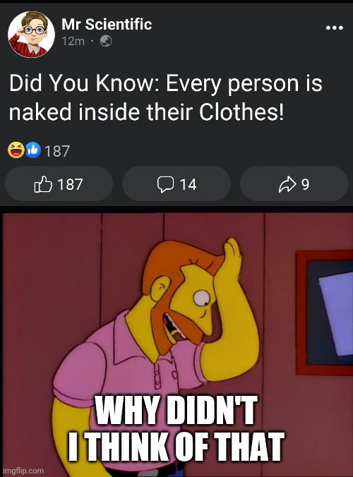 WHY DIDN'T I THINK OF THAT | image tagged in hank scorpio | made w/ Imgflip meme maker