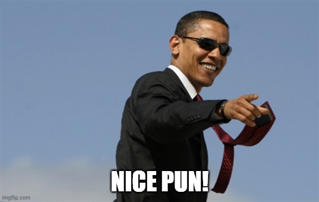 Cool Obama Meme | NICE PUN! | image tagged in memes,cool obama | made w/ Imgflip meme maker
