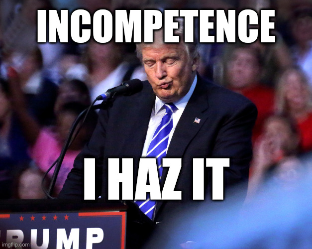Incompetence: I has it | INCOMPETENCE; I HAZ IT | image tagged in trump,pandemic | made w/ Imgflip meme maker