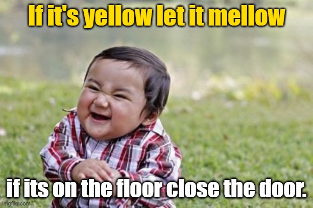 Credit goes to bizaarvark 3x20 | If it's yellow let it mellow; if its on the floor close the door. | image tagged in memes,evil toddler | made w/ Imgflip meme maker