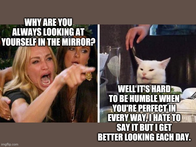 Smudge the cat | WHY ARE YOU ALWAYS LOOKING AT YOURSELF IN THE MIRROR? WELL IT'S HARD TO BE HUMBLE WHEN YOU'RE PERFECT IN EVERY WAY, I HATE TO SAY IT BUT I GET BETTER LOOKING EACH DAY. | image tagged in smudge the cat | made w/ Imgflip meme maker