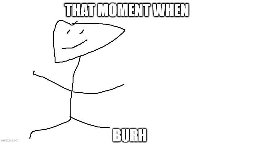 Burh | THAT MOMENT WHEN; BURH | image tagged in memes,funny | made w/ Imgflip meme maker