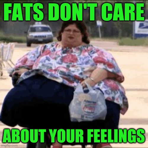 never ben shapiro'ed like that before | FATS DON'T CARE; ABOUT YOUR FEELINGS | image tagged in obese mobility scooter,ben shapiro,facts don't care about your feelings | made w/ Imgflip meme maker