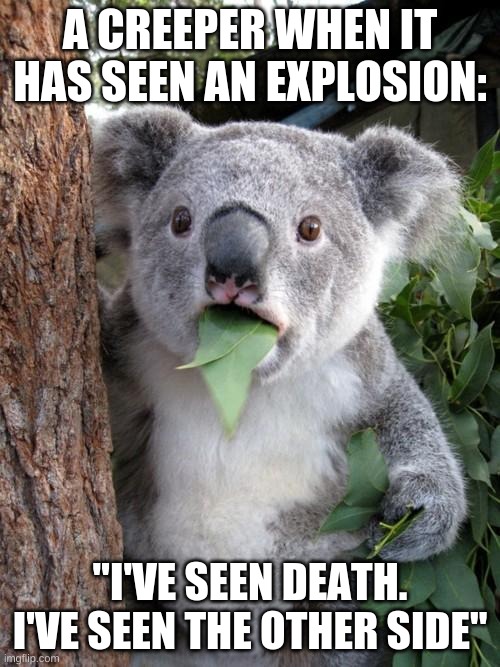 Surprised Koala | A CREEPER WHEN IT HAS SEEN AN EXPLOSION:; "I'VE SEEN DEATH. I'VE SEEN THE OTHER SIDE" | image tagged in memes,surprised koala | made w/ Imgflip meme maker