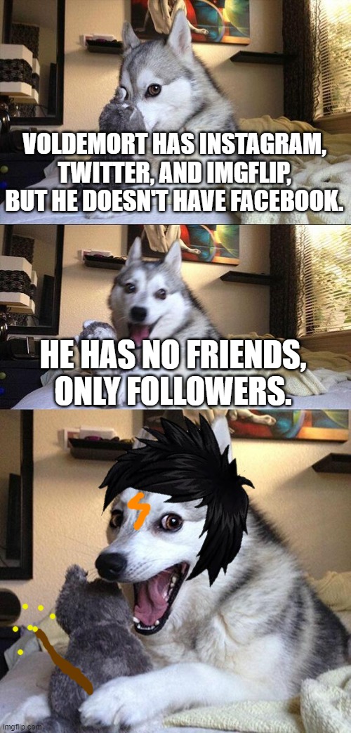 potter puns 4eva | VOLDEMORT HAS INSTAGRAM, TWITTER, AND IMGFLIP, BUT HE DOESN'T HAVE FACEBOOK. HE HAS NO FRIENDS, ONLY FOLLOWERS. | image tagged in memes,bad pun dog,harry potter,harry potter meme,potter puns,voldemort | made w/ Imgflip meme maker