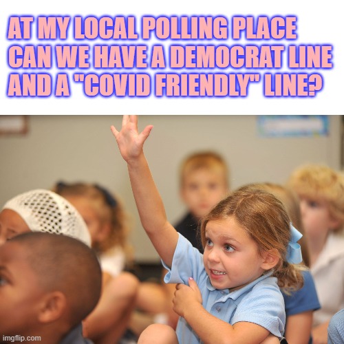 Hand raised | AT MY LOCAL POLLING PLACE
CAN WE HAVE A DEMOCRAT LINE
AND A "COVID FRIENDLY" LINE? | image tagged in hand raised | made w/ Imgflip meme maker