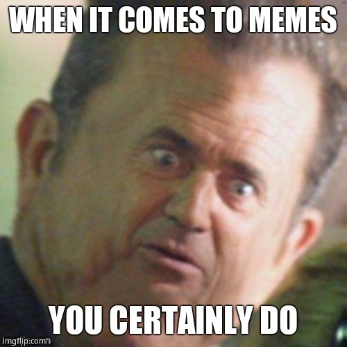 Mel Gibson stunned | WHEN IT COMES TO MEMES YOU CERTAINLY DO | image tagged in mel gibson stunned | made w/ Imgflip meme maker