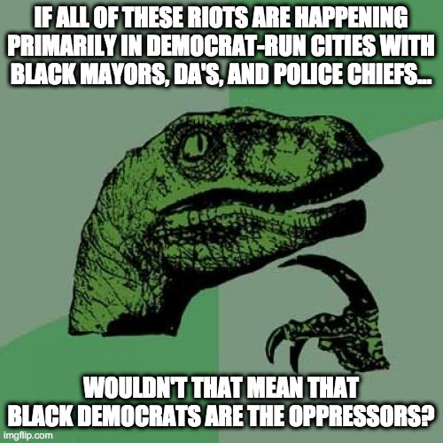 Philosoraptor Meme | IF ALL OF THESE RIOTS ARE HAPPENING PRIMARILY IN DEMOCRAT-RUN CITIES WITH BLACK MAYORS, DA'S, AND POLICE CHIEFS... WOULDN'T THAT MEAN THAT B | image tagged in memes,philosoraptor | made w/ Imgflip meme maker