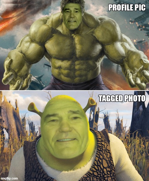 profile | PROFILE PIC; TAGGED PHOTO | image tagged in hulk,shrek,kewlew | made w/ Imgflip meme maker