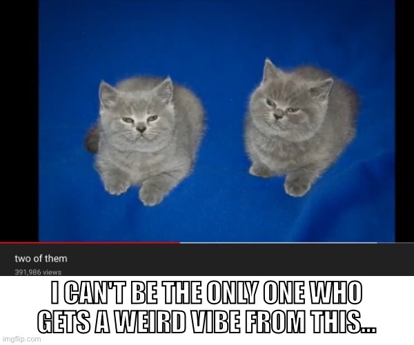 Two of them | I CAN'T BE THE ONLY ONE WHO GETS A WEIRD VIBE FROM THIS... | image tagged in two of them,memes,youtube | made w/ Imgflip meme maker