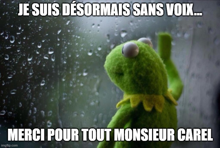Sad Kermit | JE SUIS DÉSORMAIS SANS VOIX... MERCI POUR TOUT MONSIEUR CAREL | image tagged in sad kermit | made w/ Imgflip meme maker
